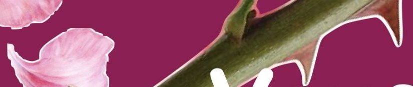 Théâtre – Vous les femmes- Vendredi 6 mars